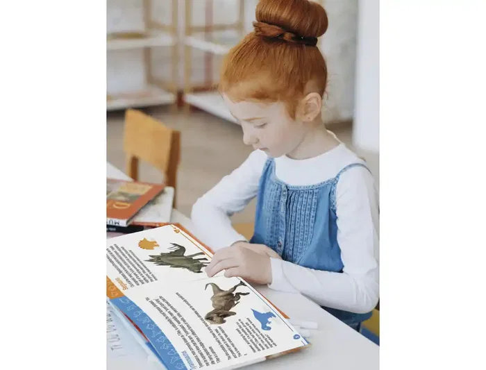 Amaya Juego Didáctico de Clasificación y Conteo de Dinosaurios +3 Años, 72 Piezas, 6 Tipos, Incluye Pinza, Vasos, Dados, Tarjetas y Caja, Aprendizaje por Color y Especie