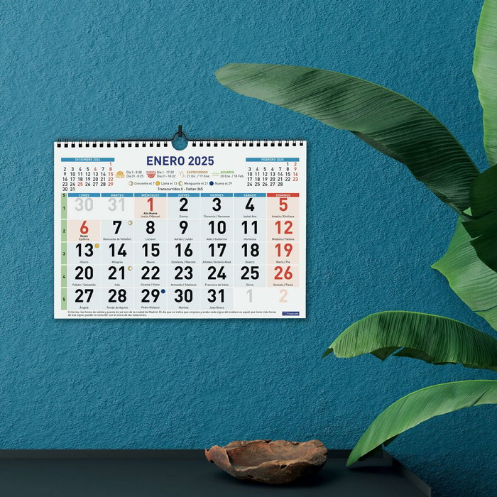 Finocam Calendario de Pared 2025 con Números Grandes 300x210 mm Finocam Calendario de Pared 2025 con Números Grandes 300x210 mm