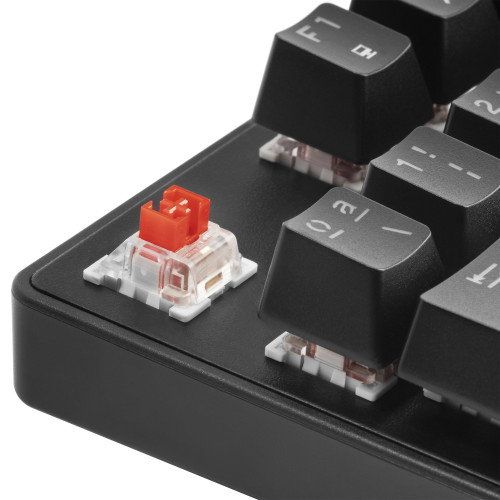 Mars Gaming MKXTKL teclado USB QWERTY Portugués Negro