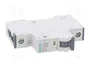 SIEMENS 5SY6106-7 Interruptor magnetotérmico 6A 1P 6kA