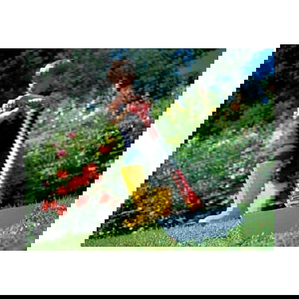 WOLF-Garten RM-F Rasenkantenstecher de acero con mango de plástico, 22.5 cm, color rojo y plateado