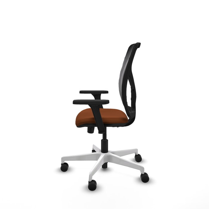 PIQUERAS Y CRESPO Silla de oficina Motilla con mecanismo Sincro/Traslack Marrón y Negro PIQUERAS Y CRESPO Silla de oficina Motilla con mecanismo Sincro/Traslack Marrón y Negro