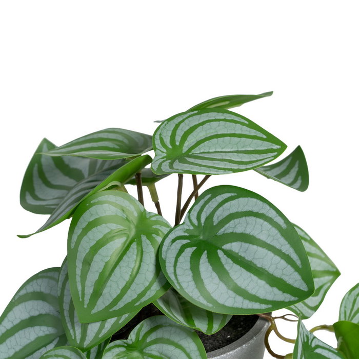 Potos Verde-Blanco "Pvc" 25 X 21 X 21,50 cm (Set de 2)