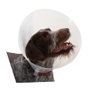 Kruuse Collar Isabelino Buster Transparente Nº 40