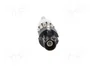 4CARMEDIA Adaptador de antena DIN enchufe a Fakra enchufe recto para BMW