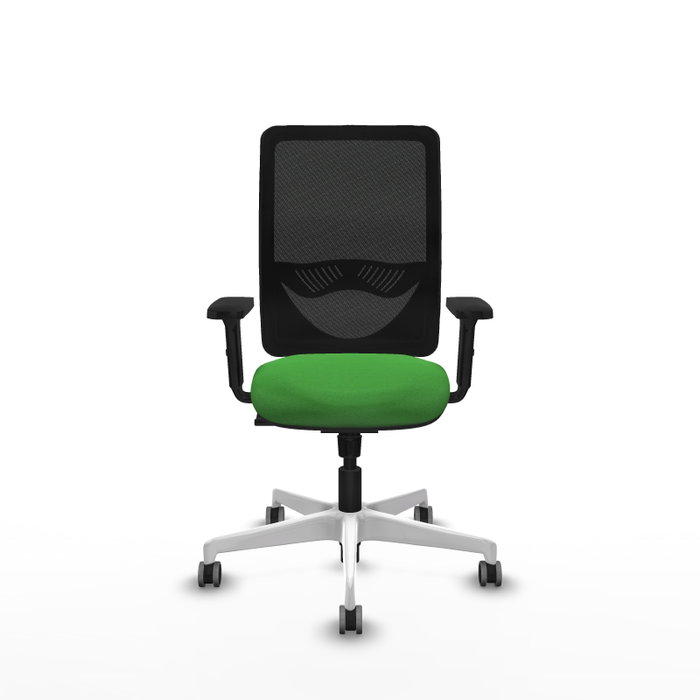 PIQUERAS Y CRESPO Silla de oficina Zulema con mecanismo Sincro, Verde y Negro PIQUERAS Y CRESPO Silla de oficina Zulema con mecanismo Sincro, Verde y Negro