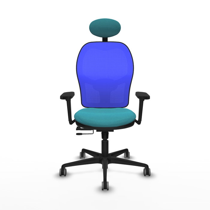 PIQUERAS Y CRESPO Silla de oficina Jorquera con mecanismo Sincro/Traslack, Tela Turquesa y Malla Azul PIQUERAS Y CRESPO Silla de oficina Jorquera con mecanismo Sincro/Traslack, Tela Turquesa y Malla Azul