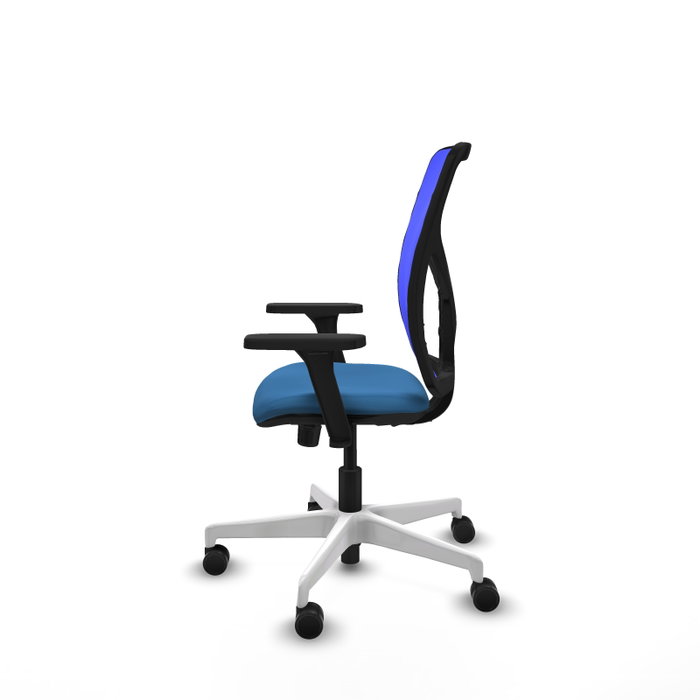 PIQUERAS Y CRESPO Silla de oficina Motilla con mecanismo Sincro, Azul claro y Azul PIQUERAS Y CRESPO Silla de oficina Motilla con mecanismo Sincro, Azul claro y Azul
