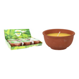 Basics Vela de Citronela Antimosquitos en Maceta de Terracota, Ø13 x 70 mm, Pack de 6 Unidades