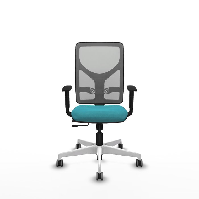 PIQUERAS Y CRESPO Silla de oficina Motilla con mecanismo Sincro/Traslack, Turquesa y Gris PIQUERAS Y CRESPO Silla de oficina Motilla con mecanismo Sincro/Traslack, Turquesa y Gris