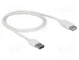 DeLOCK Cable de extensión EASY-USB 2.0 Tipo-A a Tipo-A de 1 m, Blanco