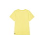 Camiseta de Manga Corta Hombre Picture MTS1030.B Amarillo (M)