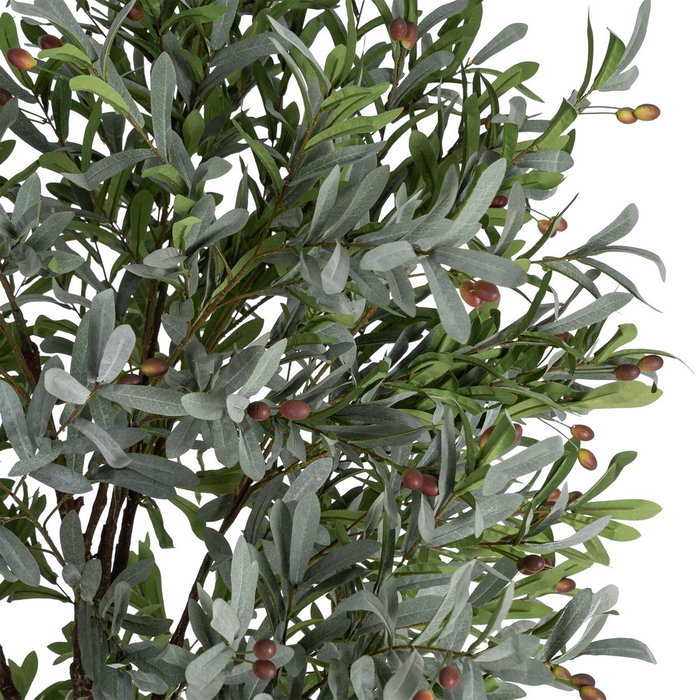 Ixia Planta de Olivo Verde Decoración 130 x 240 cm Ixia Planta de Olivo Verde Decoración 130 x 240 cm