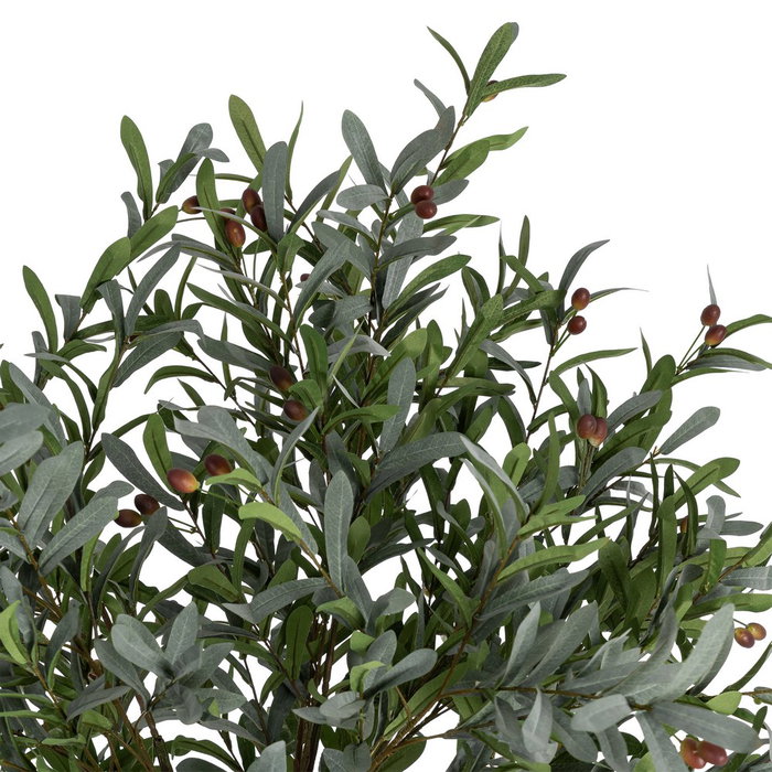 Ixia Planta de Olivo Verde Decoración 130 x 240 cm Ixia Planta de Olivo Verde Decoración 130 x 240 cm