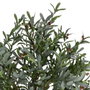 Ixia Planta de Olivo Verde Decoración 130 x 240 cm