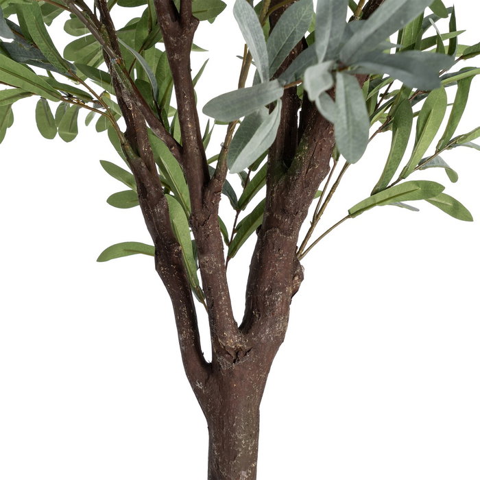 Ixia Planta de Olivo Verde Decoración 130 x 240 cm Ixia Planta de Olivo Verde Decoración 130 x 240 cm