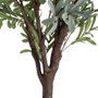 Ixia Planta de Olivo Verde Decoración 130 x 240 cm