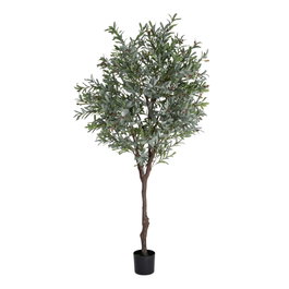Ixia Planta de Olivo Verde Decoración 130 x 240 cm