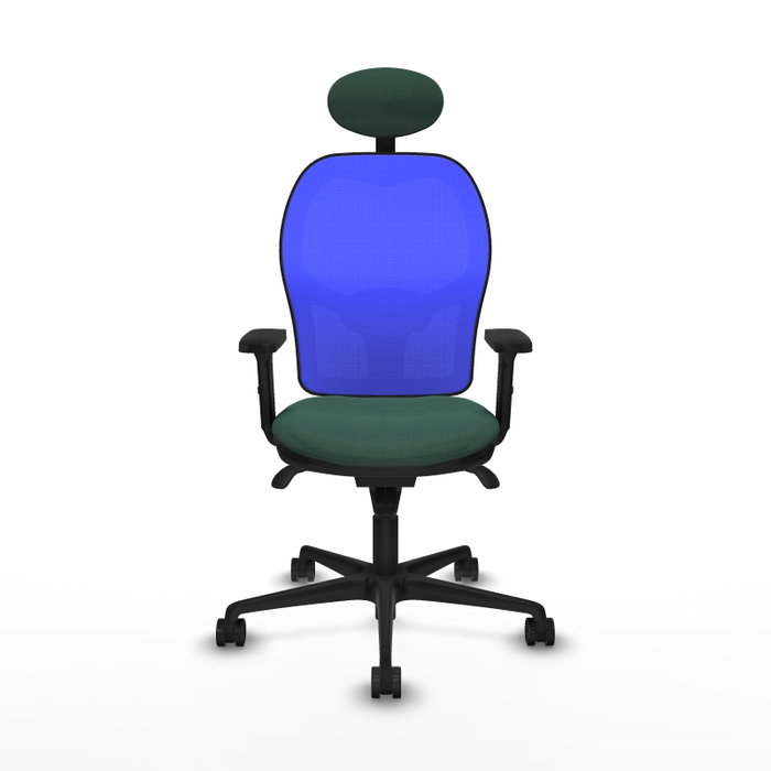 PIQUERAS Y CRESPO Silla de oficina Jorquera Verde botella y Azul PIQUERAS Y CRESPO Silla de oficina Jorquera Verde botella y Azul