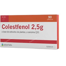 Big Clinic Colestfenol 90 Cápsulas