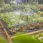 Gardena Kit de iniciación para huertos de hasta 60 m² - 13450-20