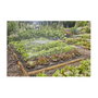Gardena Micro-Drip-System Set de riego para huertos y parterres de hasta 60 m² (25 m)