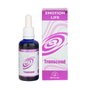 EQUISALUD Emotionlife Transcend 50ml