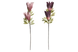 DKD Home Decor Flores EVA Surtido de 2 Colores (Lila y Rosa)