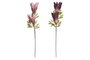 DKD Home Decor Flores EVA Surtido de 2 Colores (Lila y Rosa)