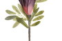 DKD Home Decor Flores EVA Surtido de 2 Colores (Lila y Rosa)