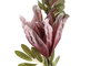 DKD Home Decor Flores EVA Surtido de 2 Colores (Lila y Rosa)