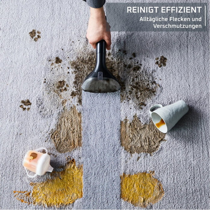 Rowenta IN 5011 Clean It Stain Cleaner Wet/Dry