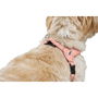 Arnés para Perro Hunter SOHO MINI Rosa