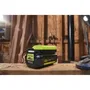 Ryobi RYO4892210179425 Cargador Estándar 36V 1.7 A MaxPower
