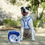 Cerdá Set Para Mascotas Bienvenida Real Madrid Azul
