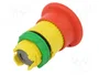 SCHNEIDER ELECTRIC Interruptor de emergencia Harmony XB5 rojo 22mm