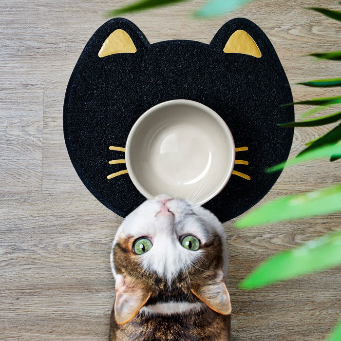 The Concept Factory Mon Chat Mon Ch Alfombra Antideslizante para Comer Mascotas, Mantiene Estable el Bol, Decorativa y Fácil de Limpiar, Gato/Perro, 40x35/50x35.5 cm