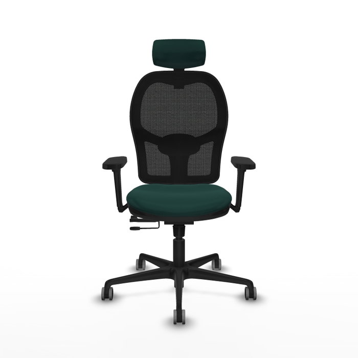 PIQUERAS Y CRESPO Silla de oficina Jorquera Sincro/Traslack Verde botella/Negro PIQUERAS Y CRESPO Silla de oficina Jorquera Sincro/Traslack Verde botella/Negro