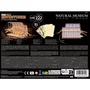 Revell Rompecabezas 3D de Madera Tiny Adventures - Museo Natural Ballena Azul con LED - REV4009803006208