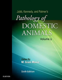 ELSEVIER UK Jubb, Kennedy & Palmer's Pathology of Domestic Animals: Volume 2