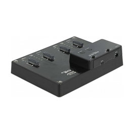 DeLOCK Estación de acoplamiento para 4 x M.2 NVMe PCIe SSD con función de clonación Negro