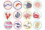 DKD Home Decor Posavasos de Dolomita Marino Surtido 12 Unidades