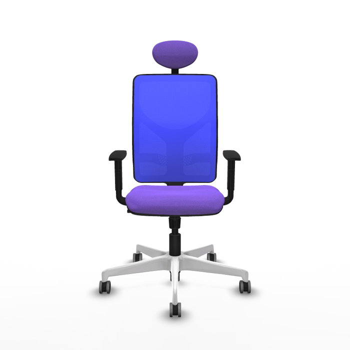 PIQUERAS Y CRESPO Silla de oficina Motilla con mecanismo Sincro, Tela Lila y Malla Azul PIQUERAS Y CRESPO Silla de oficina Motilla con mecanismo Sincro, Tela Lila y Malla Azul