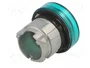 SCHNEIDER ELECTRIC Lámpara de control Harmony XB4 verde Ø22mm