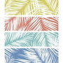 Secaneta Toalla Jacquard Tercer Tamaño Doble 150x175 cm