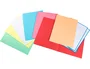 Liderpapel Subcarpeta Cartulina Folio Colores Surtidos Paquete de 25 Unidades