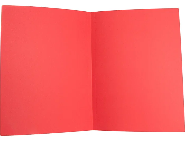 Liderpapel Subcarpeta Cartulina Folio Colores Surtidos Paquete de 25 Unidades