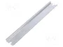 FIBOX Carril DIN TS35 de Acero Zincado 238mm x 35mm