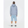 Sudadera con Capucha Hombre Only & Sons Onsceres Eventide Agua 124 Vibrant