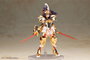 Frame Arms Girl Maqueta Plastic Model Kit Durga Gold Ritter 17 cm